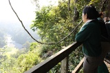 danum-valley-img_6738