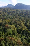 danum-valley-img_6765