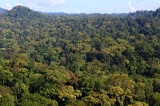 danum-valley-img_6767