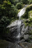 danum-valley-img_6841