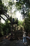 danum-valley-img_6876