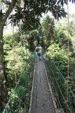 danum-valley-img_6878