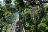 danum-valley-img_6884