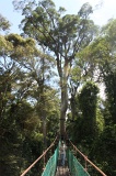 danum-valley-img_6895