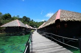 gayana-eco-resort-img_6752