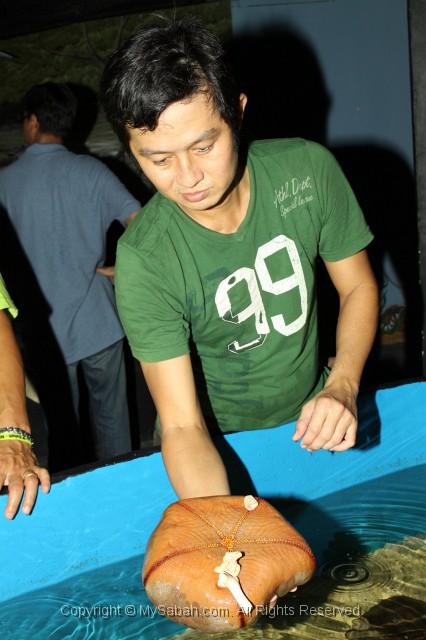 green-connection-img_7489.jpg