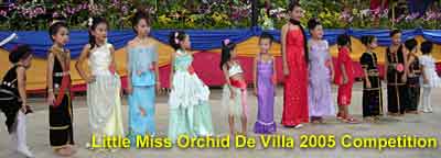 Little Miss Orchid De Villa