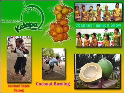 Coconut Festival