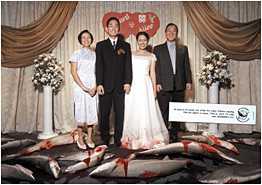 Bloody Chinese Wedding