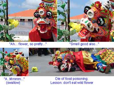 Lion Dance