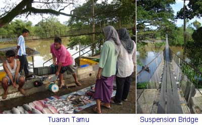 Tuaran Tamu