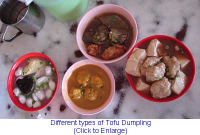 Tofu Dumpling