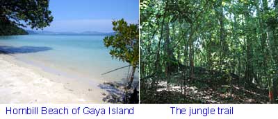 Gaya Island