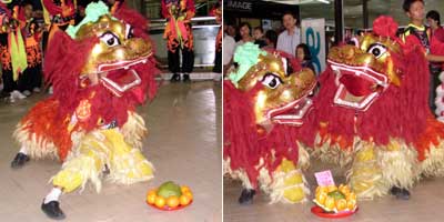 Lion Dance