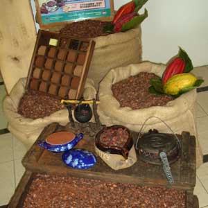 Cocoa Museum