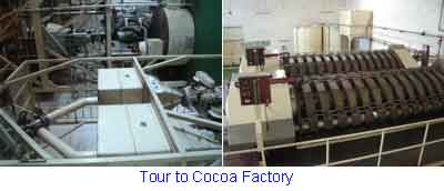 Cocoa Museum