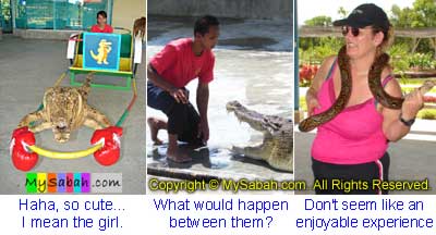 Crocodile Farm