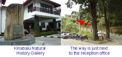 Kinabalu Natural History Gallery