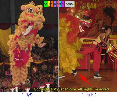 Lion dance of Sabah Malaysia