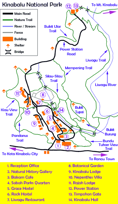 Kinabalu Park, Sabah, Malaysia Borneo