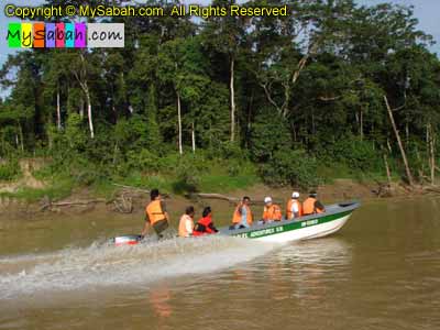 Uncle Tan Wildlife Camp