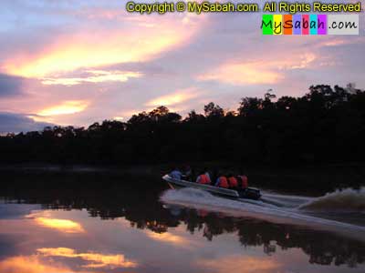 Uncle Tan Wildlife Camp