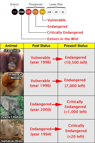 Malaysia Wildlife Conservation Awareness 08