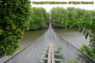 Suspension bridge