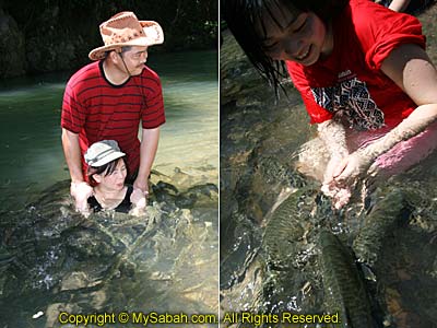 Playing with fishes	