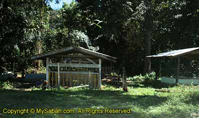 Murut grave