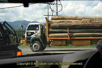 Lumber truck