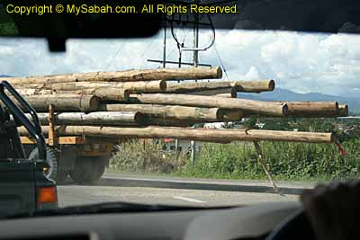 Lumber truck