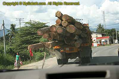 Lumber truck