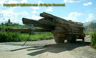 Lumber truck