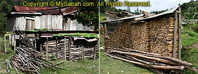Firewood of Tataluan Village