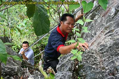 Climbing Batu Punggul