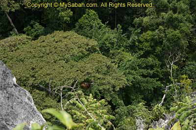 View on top of Batu Punggul