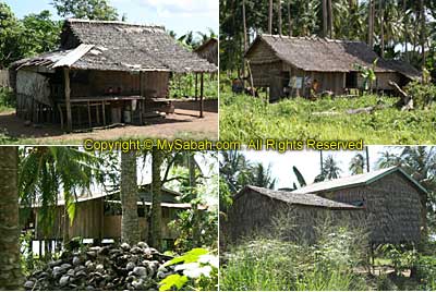 Houses along the road