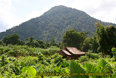 Senambung Hill