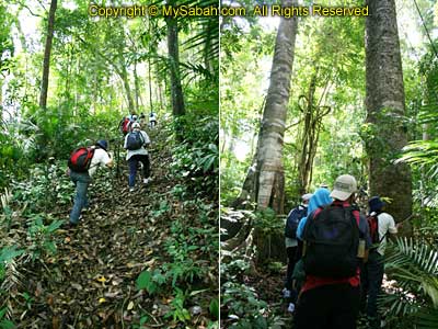 Climbing Senambung Hill