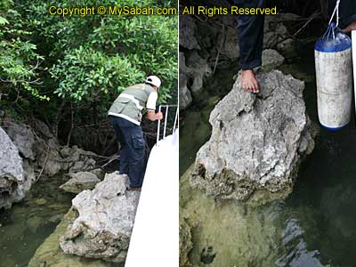 Landing on Balambangan Island