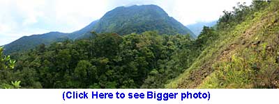 Foothill of Mt Kinabalu