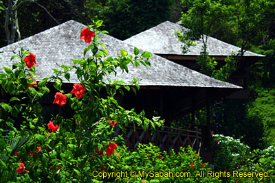 Bunga Raya Resort