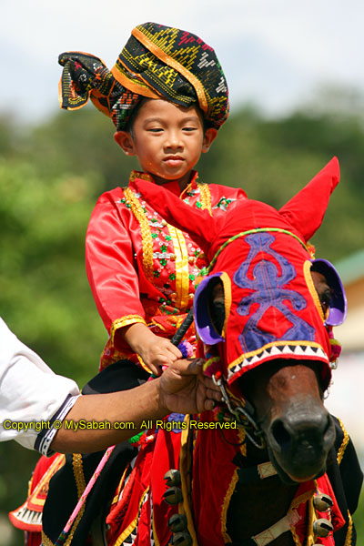 Bajau boy riding horse