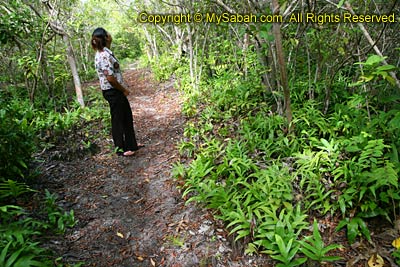 Jungle trekking on Mataking Island