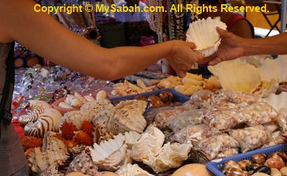 Tourist buying Giant clam