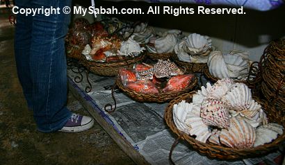 Giant clams in Handicraft Market