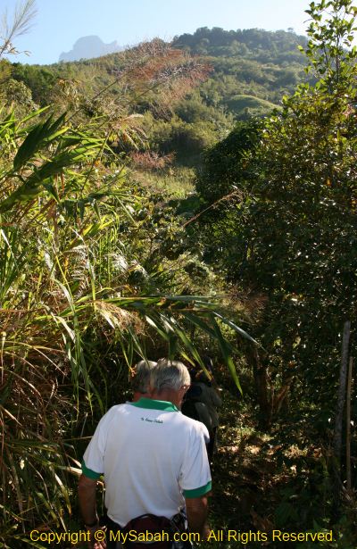 Walking to the ritual ceremony site