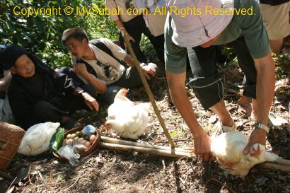 Slaughter of chicken