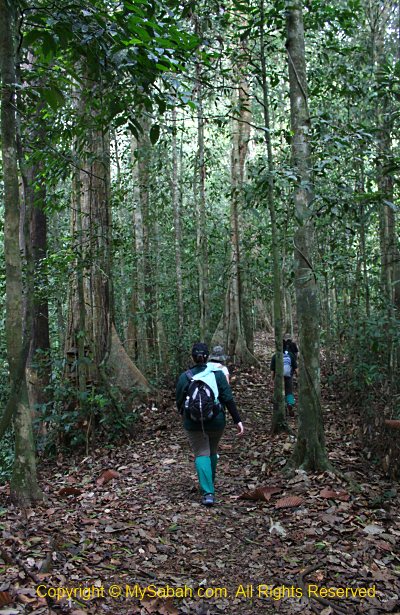 Danum Valley